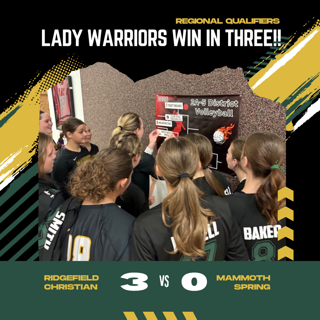 District Volleyball