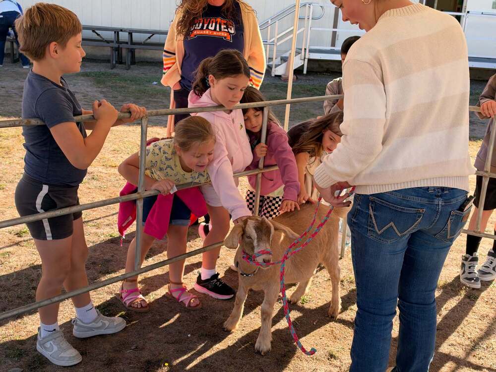 A group of several 2nd grade students smile and pet a goat through fencing