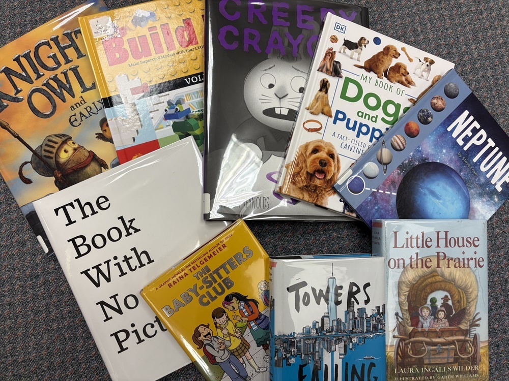 An assortment of new books spread out on the floor of the library