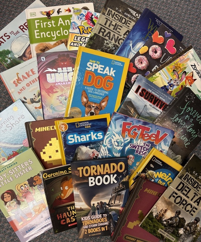 Another assortment of new books spread out on the floor of the library