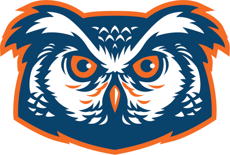 Wisdom Ridge Owl mascot