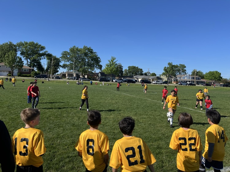 harnew soccer