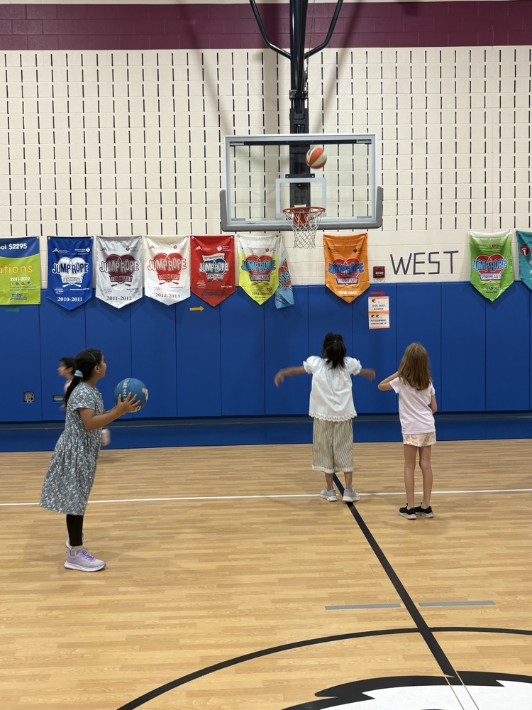 PE 1