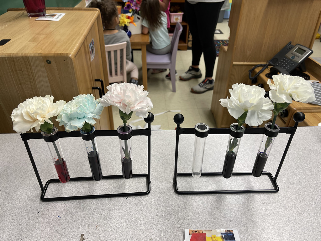 Flower experiment