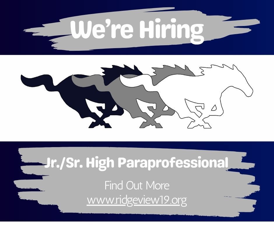 Jr./Sr. High Paraprofessional Opening