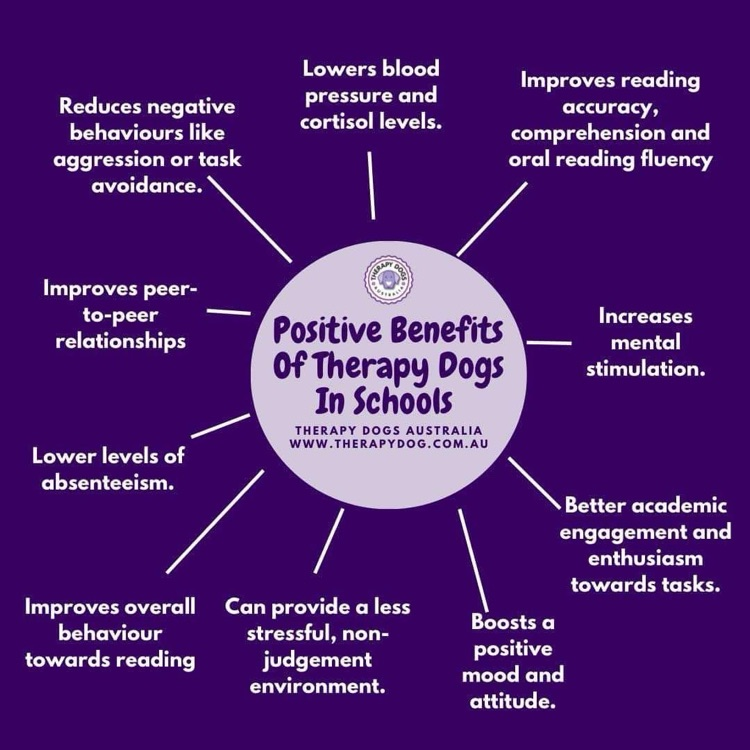 visual of benefits of working dogs in schools