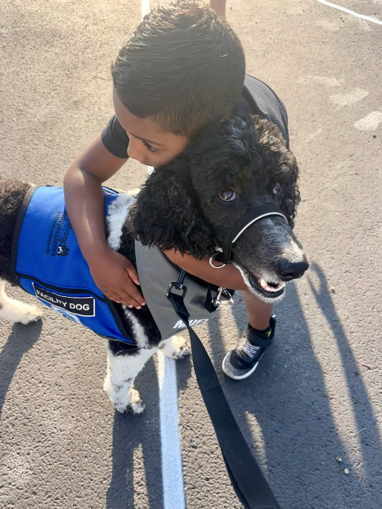 boy hugging dog