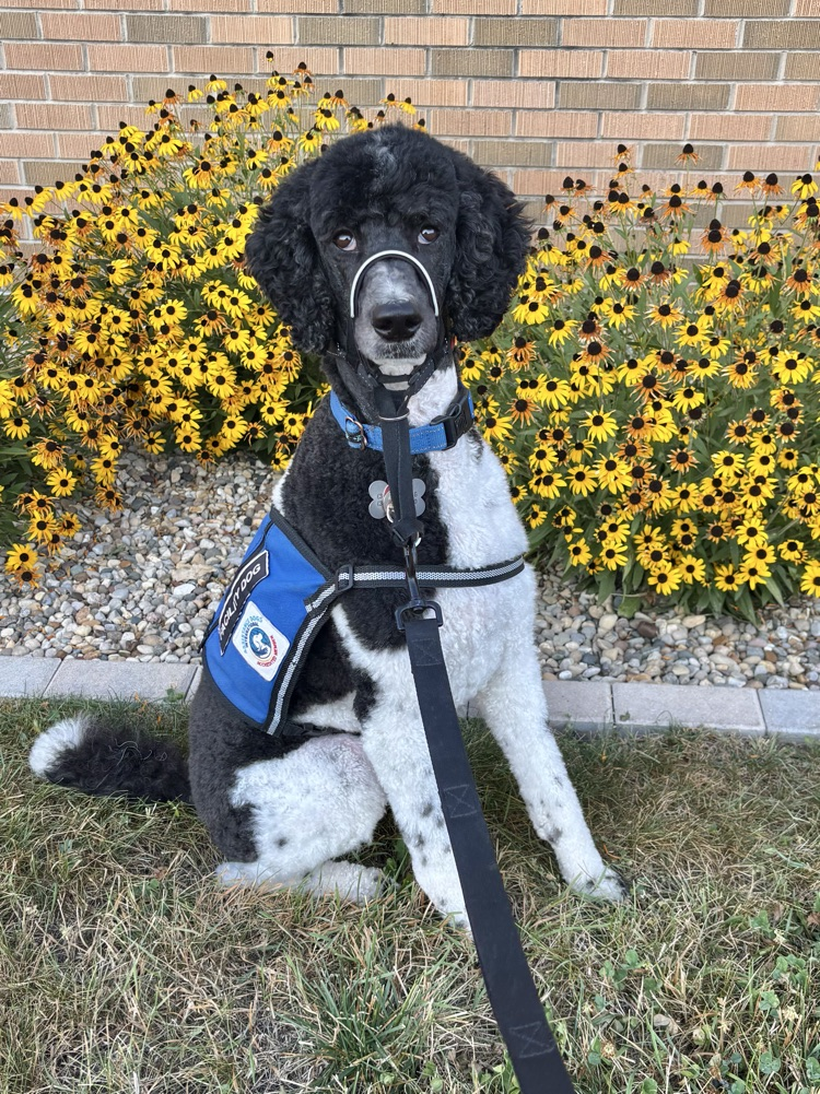dog sitting by flowers