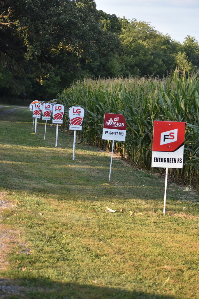 FFA Plot