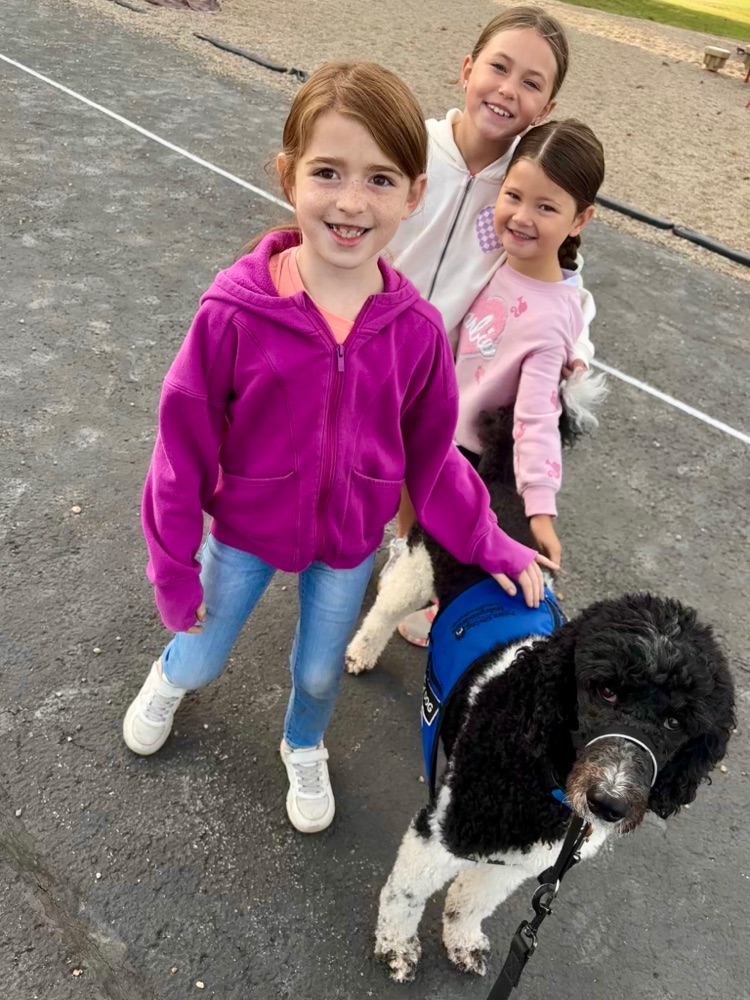 dog in playground with 3 girls