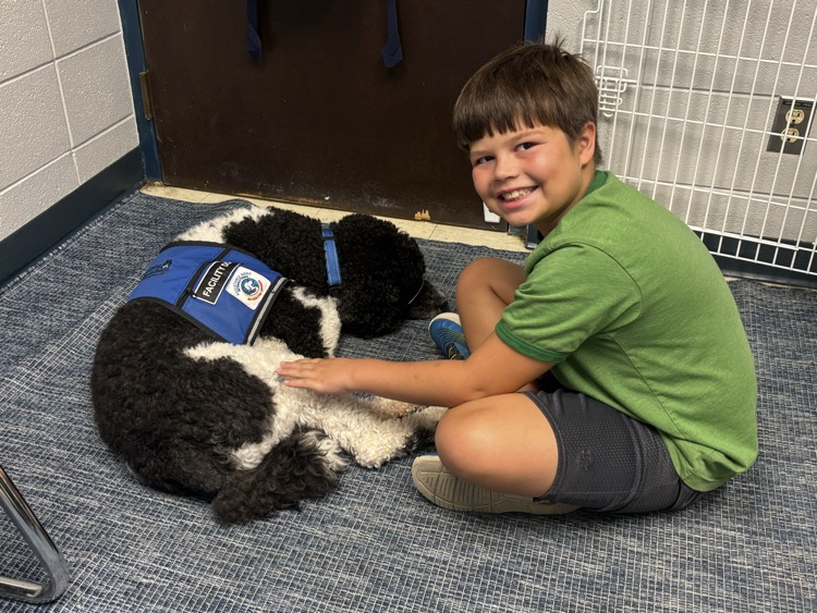 dog sleeping with boy petting him