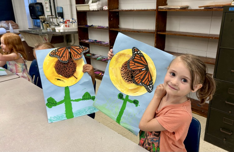 Butterflies landing.