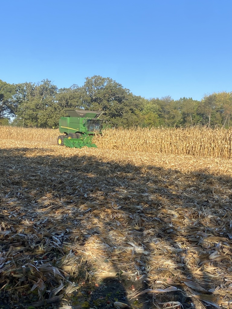 Harvesting the FFA Plot