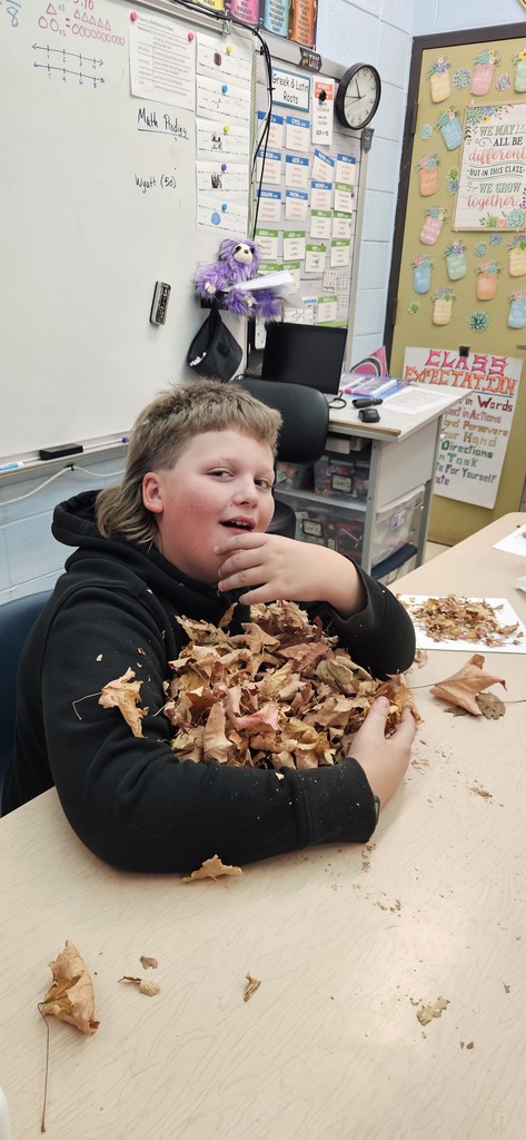 Student holding leaves.