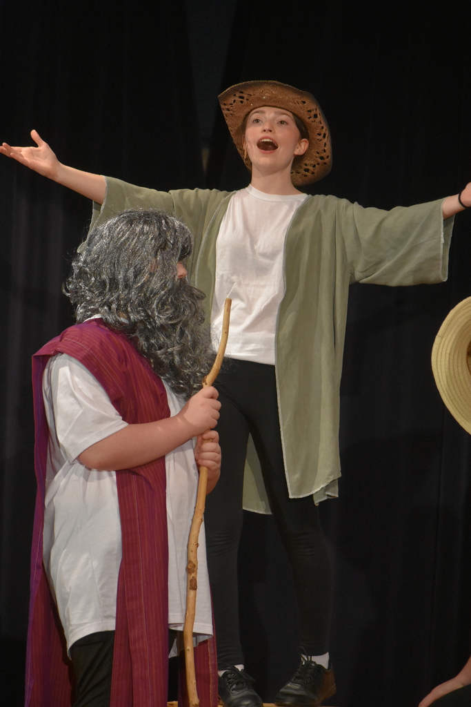 Joseph and the Amazing Technicolor Dreamcoat