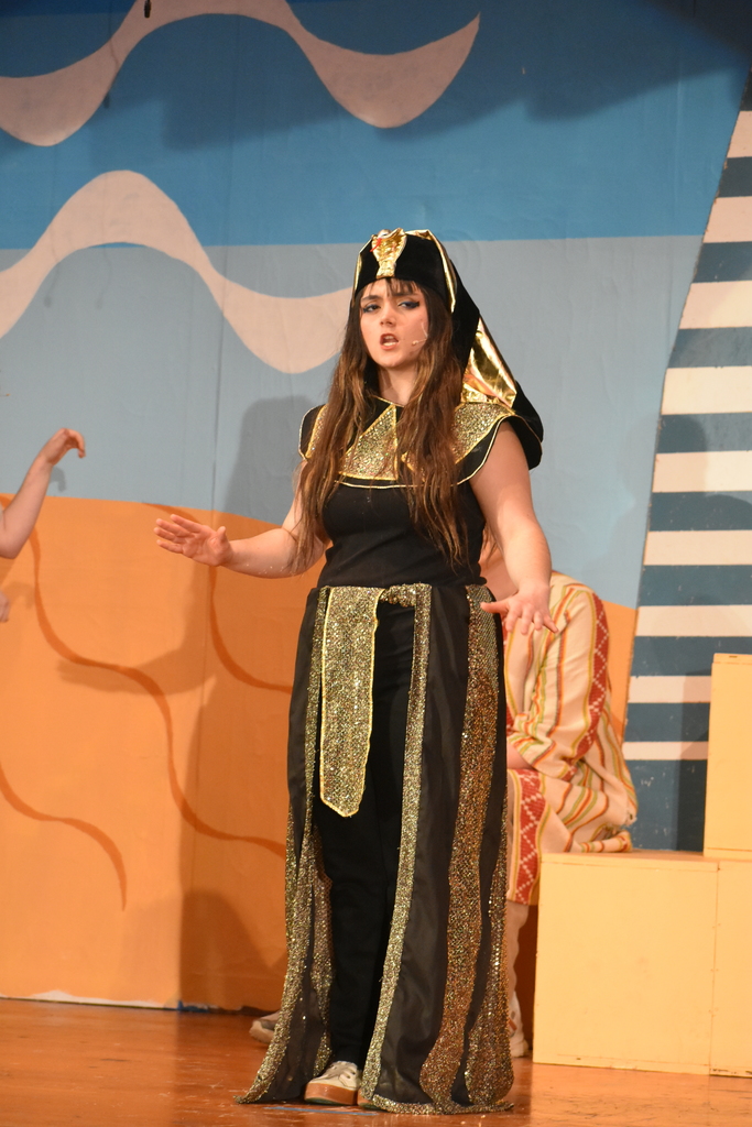 Joseph and the Amazing Technicolor Dreamcoat