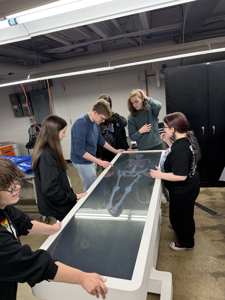 Virtual Dissection Game