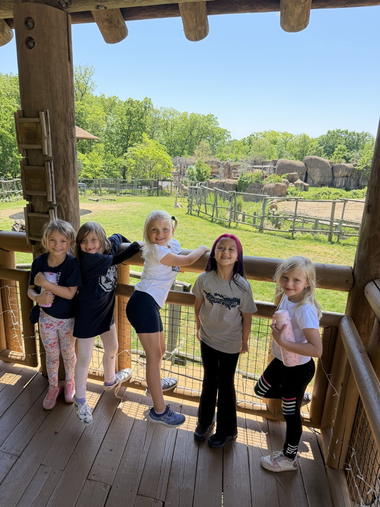 zoo