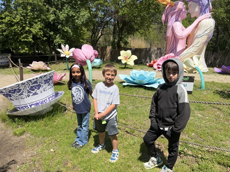 zoo