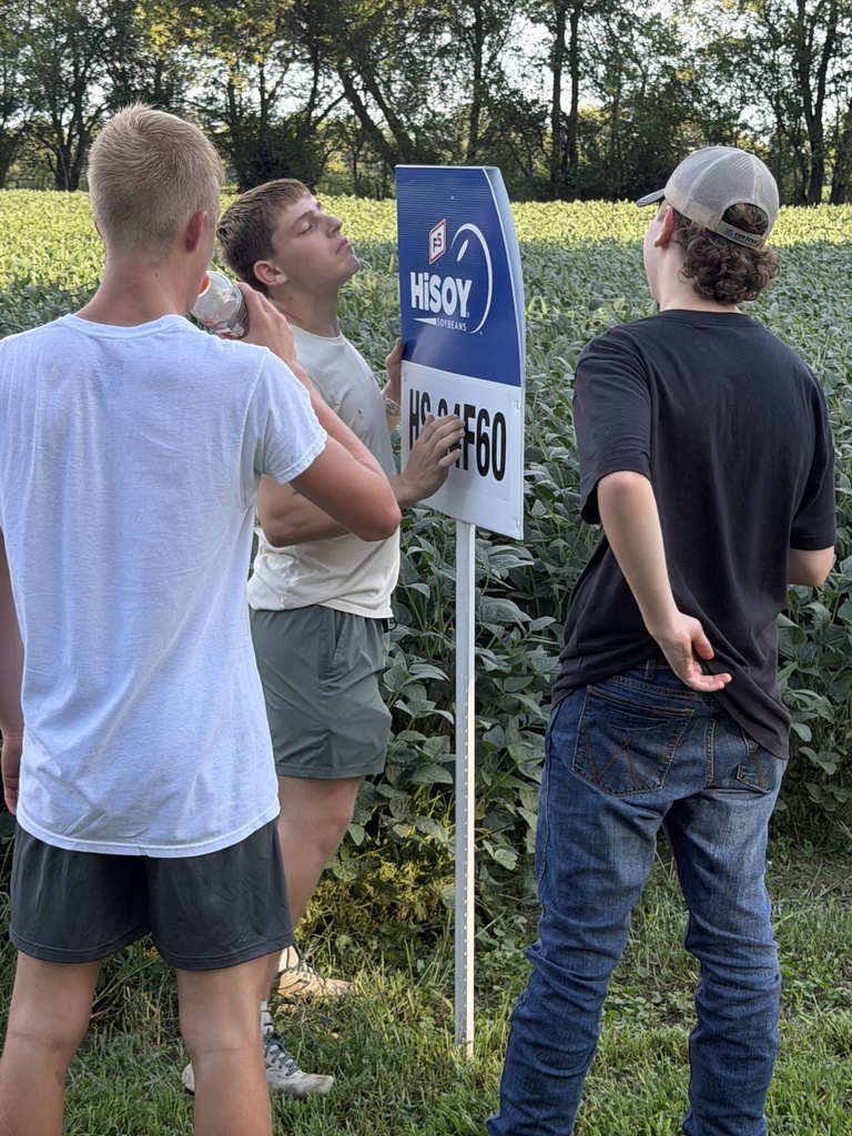 FFA Plot