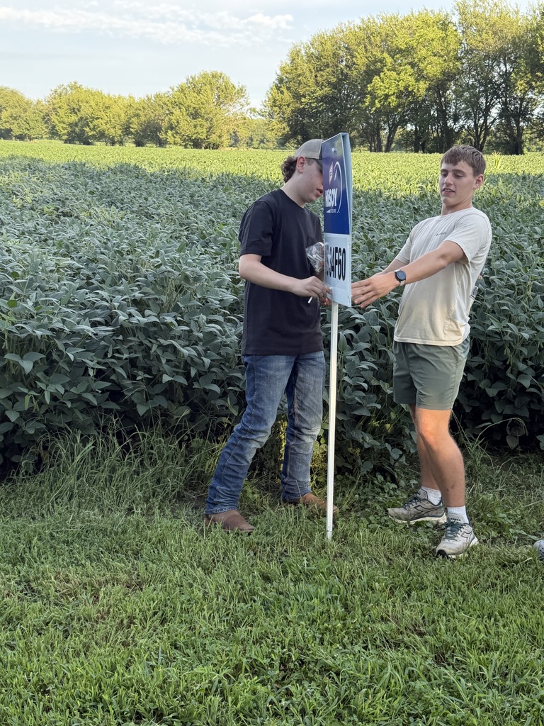 FFA Plot