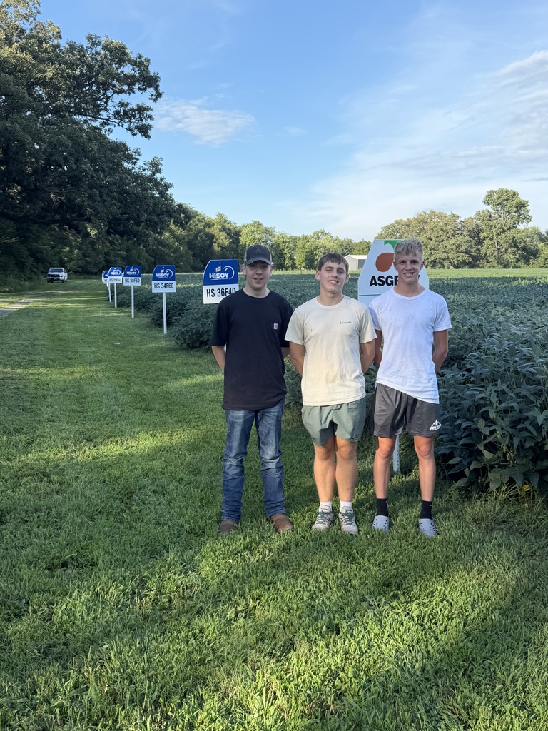 FFA Plot