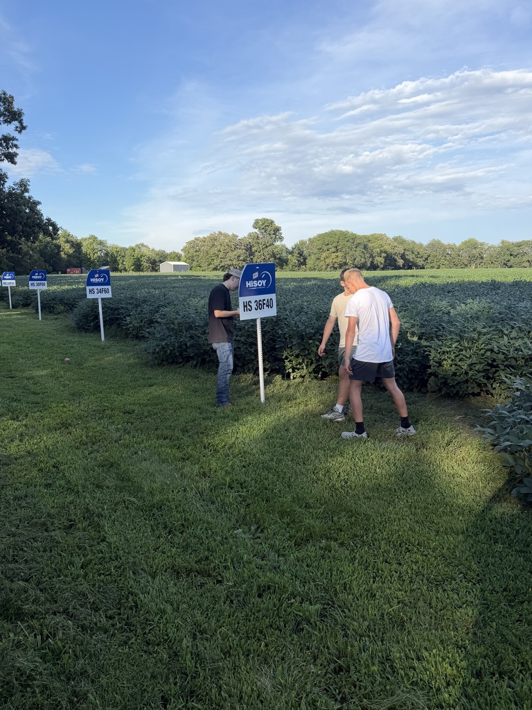 FFA Plot