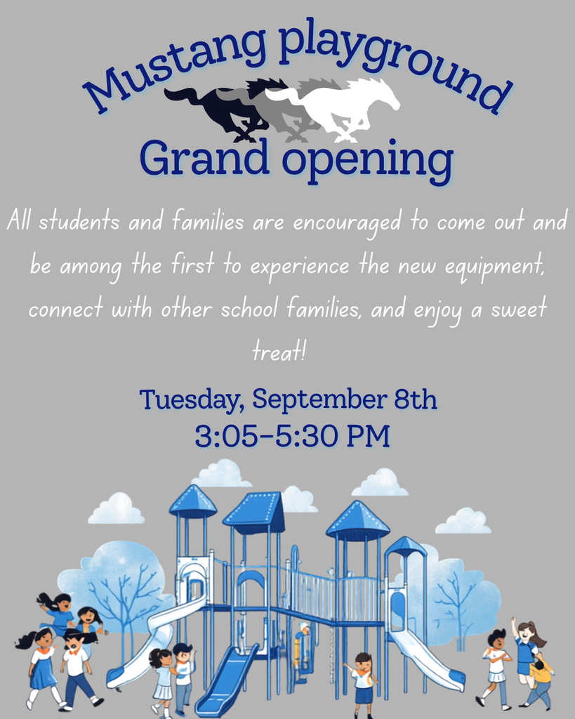 Playground grand opening