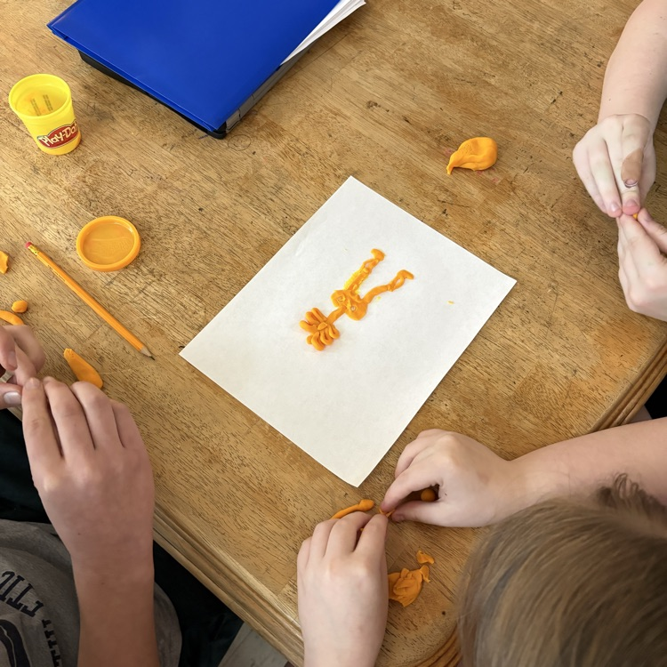 skeletal and muscular system activity