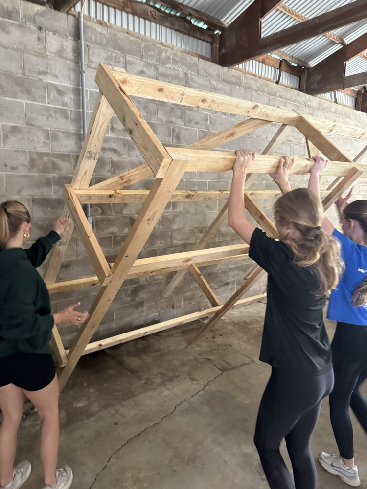 Constructing new shelves