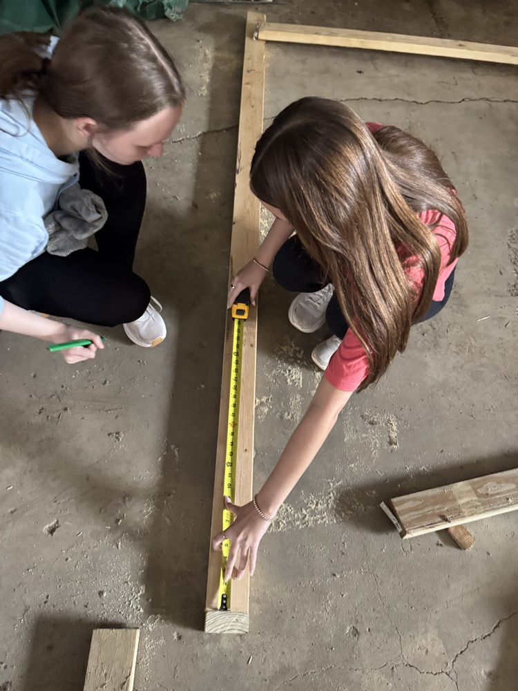 Constructing new shelves