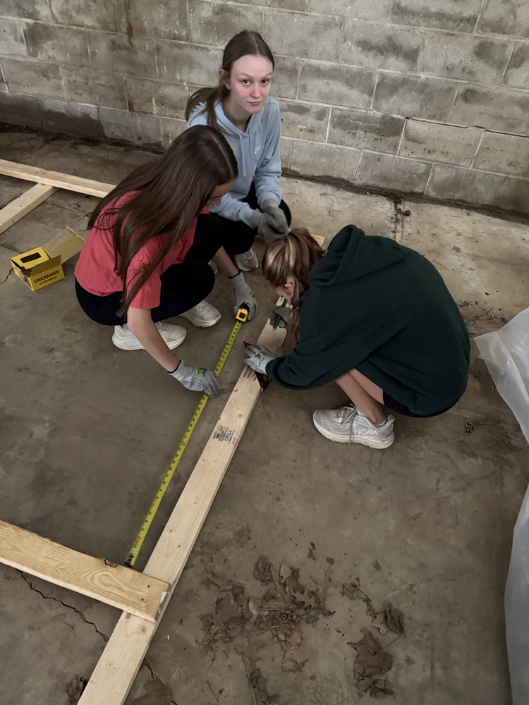 Constructing new shelves