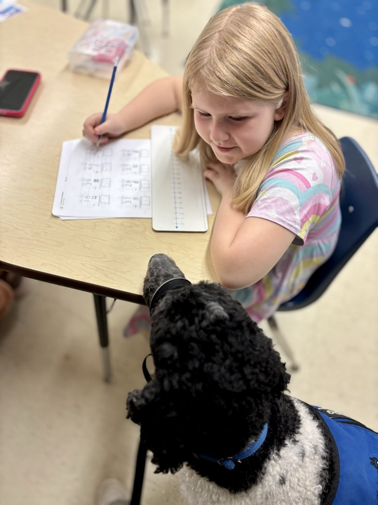 girl completing math work with facility dog