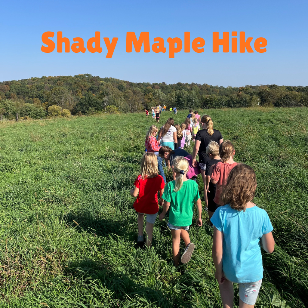 Shady Maple Hike