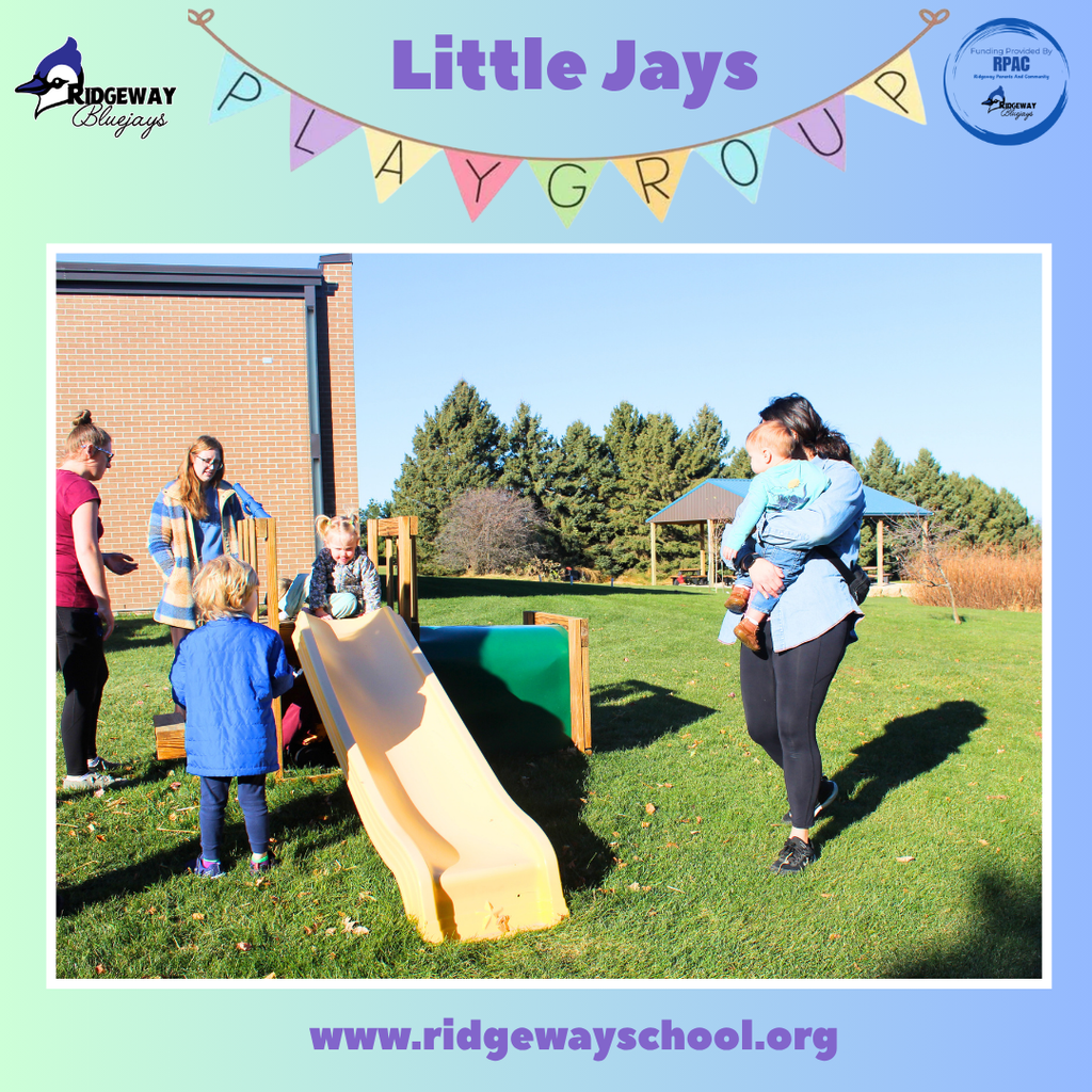 Children playing on outdoor playset