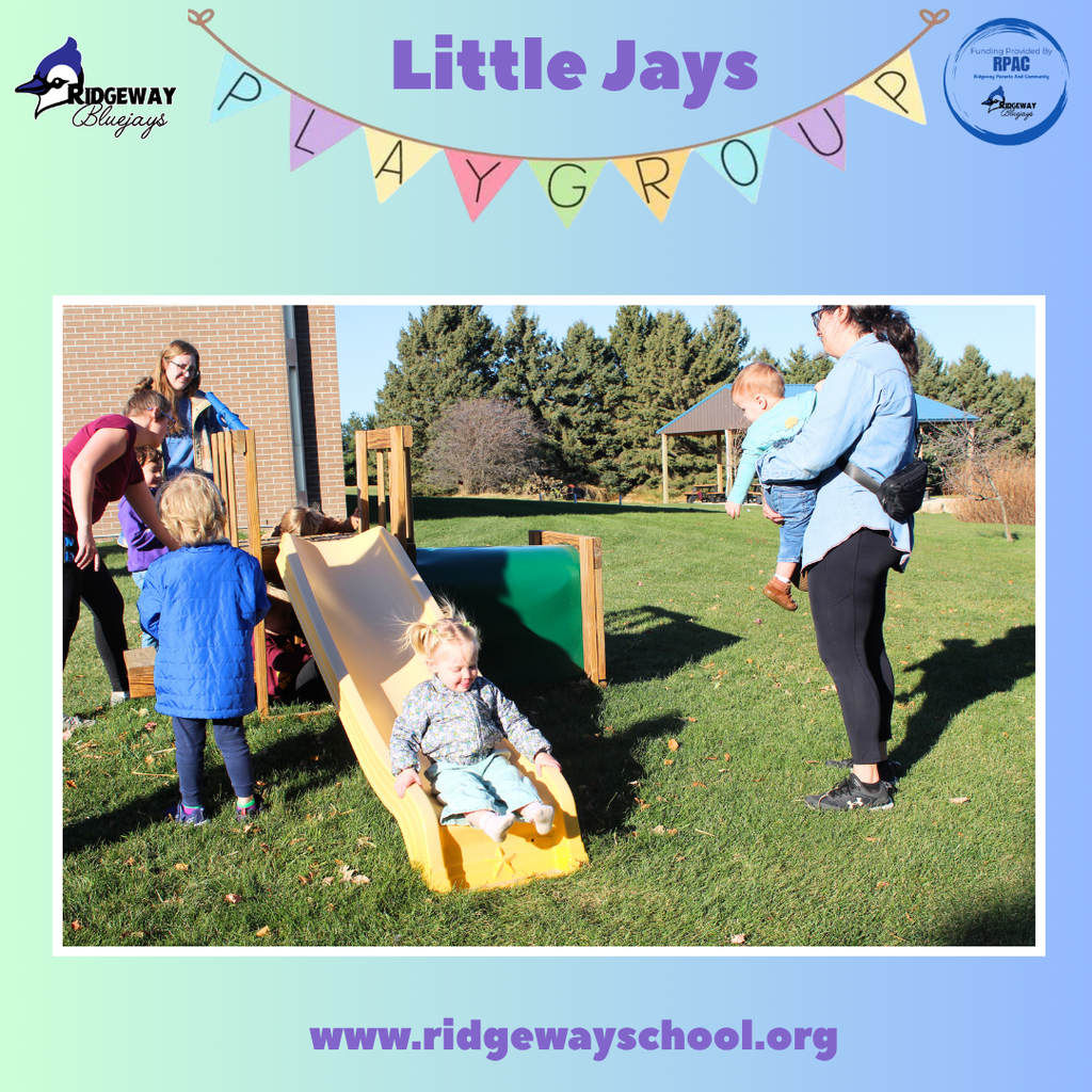 Children on outdoor playset