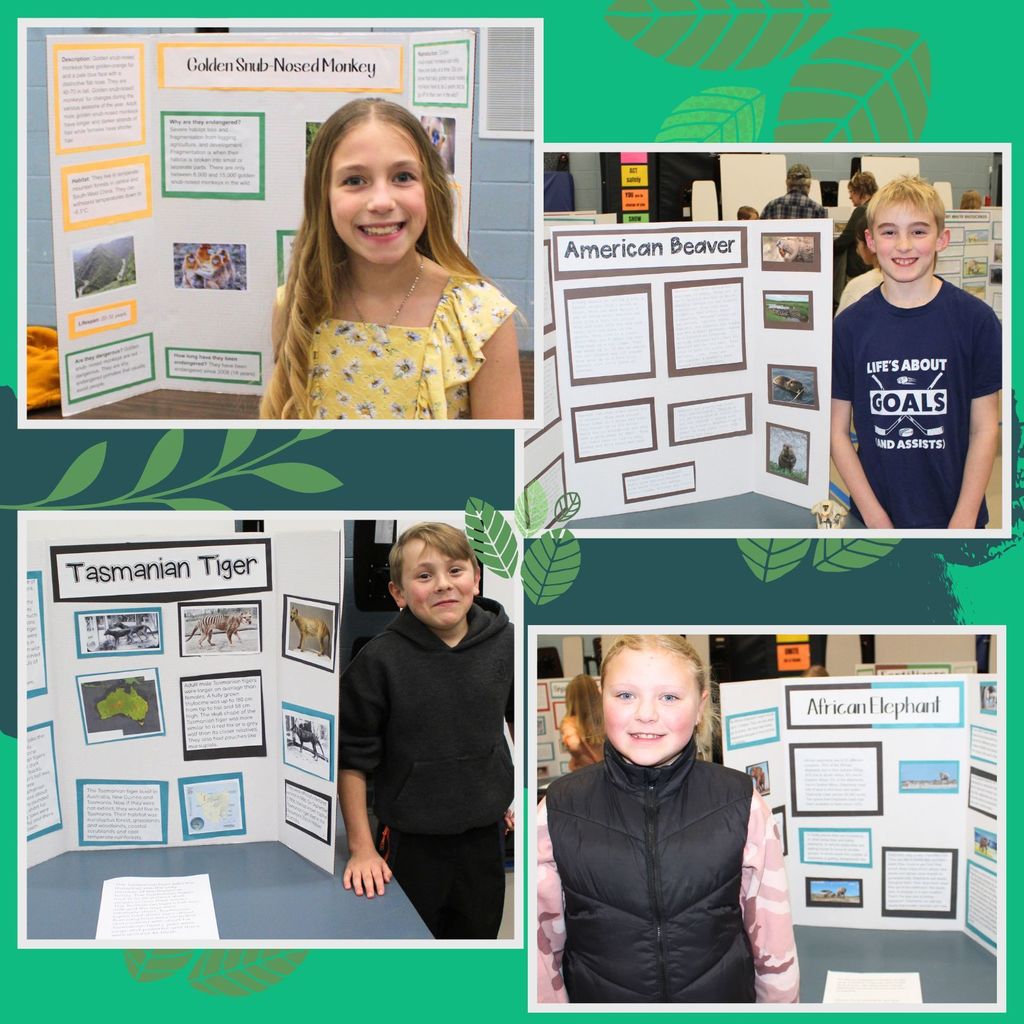 Students with environmental science projects