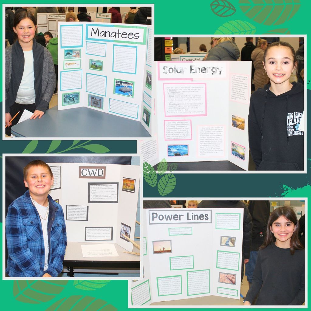 Students with environmental science projects