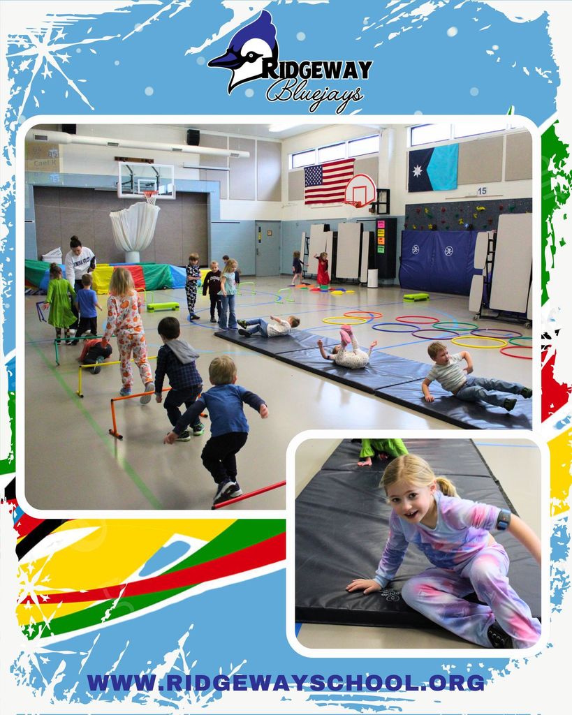 Bluejays in Training