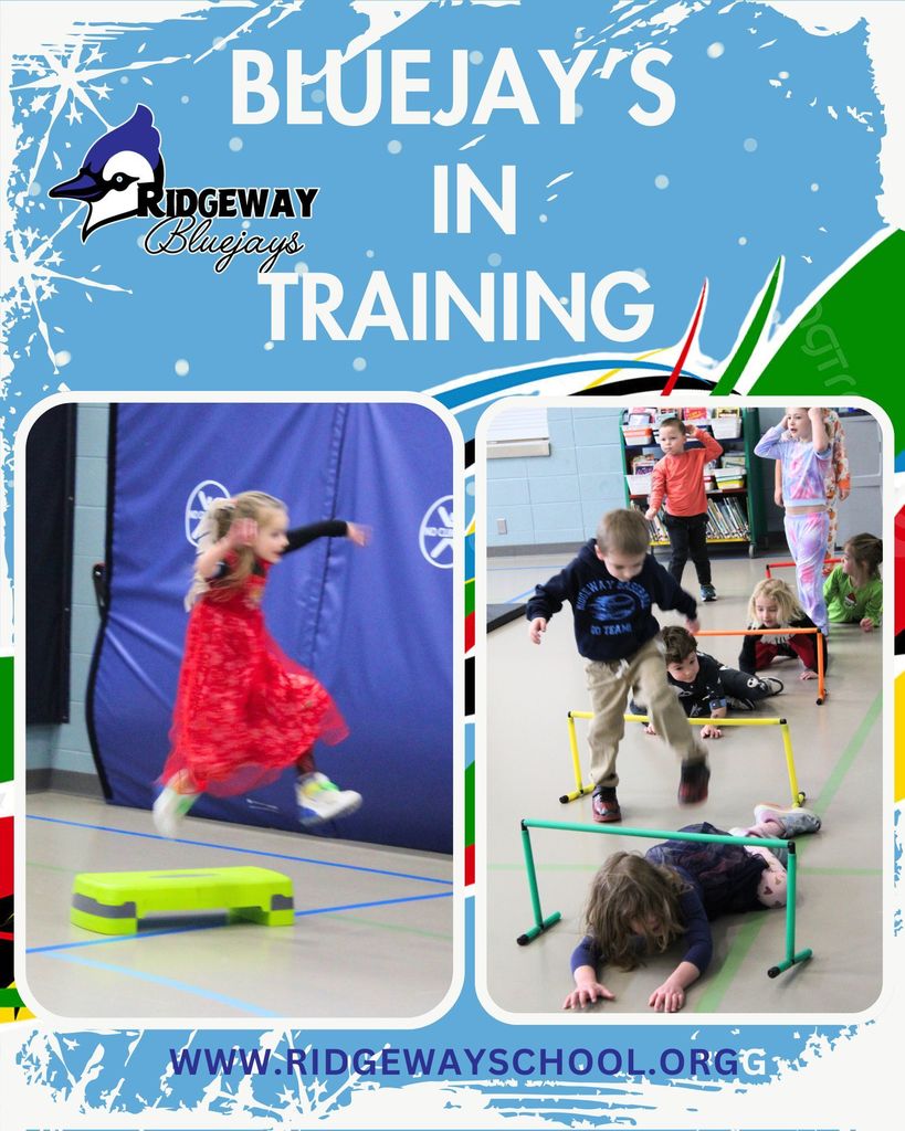 Bluejays in Training