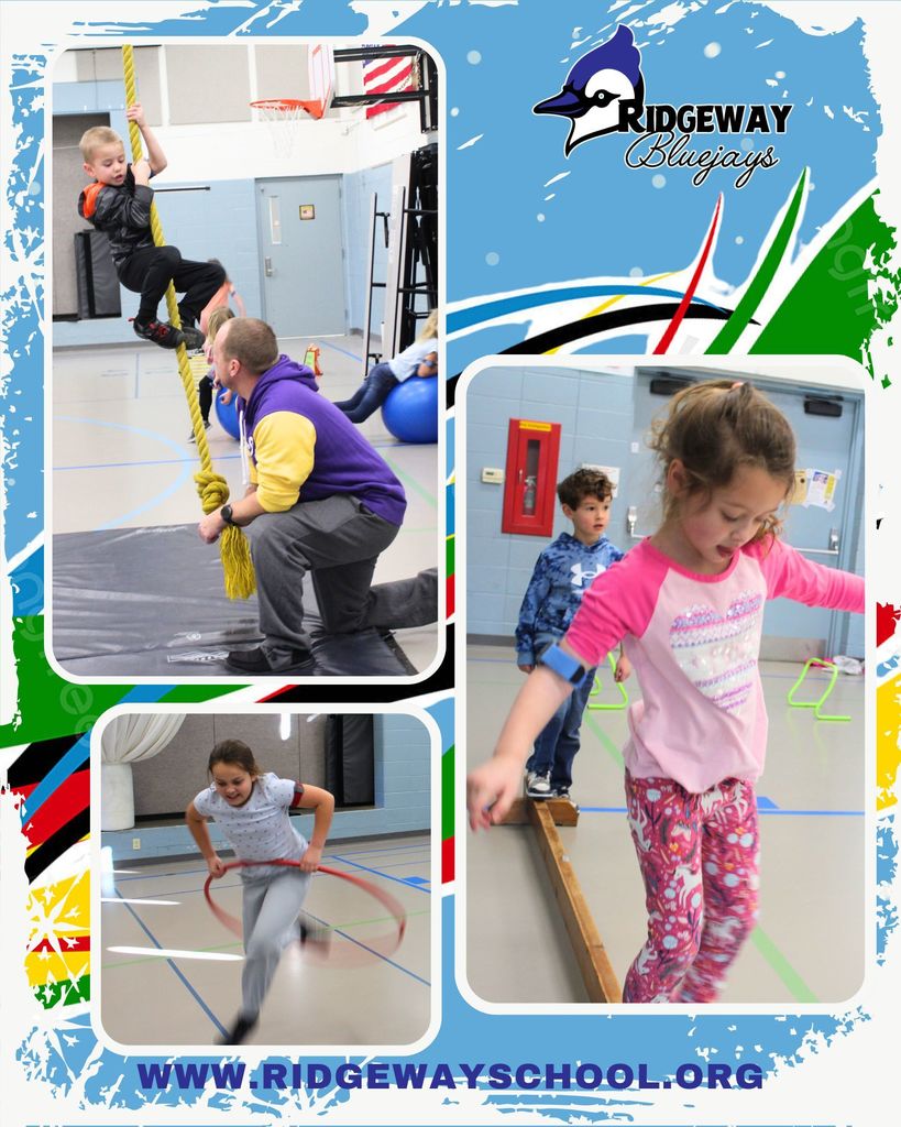 Bluejays in Training