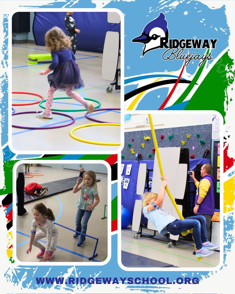 Bluejays in Training