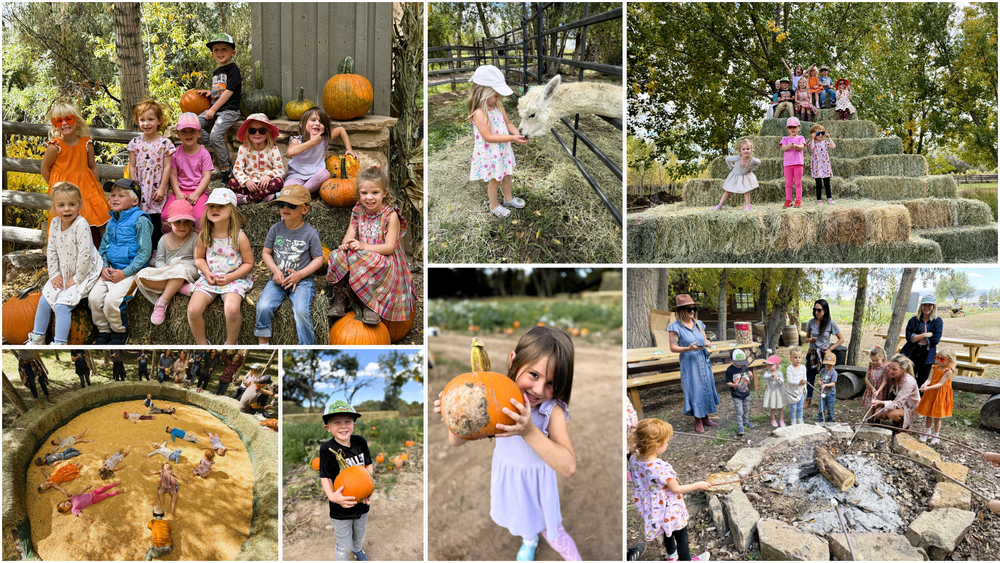 Kids sitting with pumpkins, feeding an alpaca, playing in a corn pit, roasting marshmallows, and posing on hay bales surrounded by autumn trees.