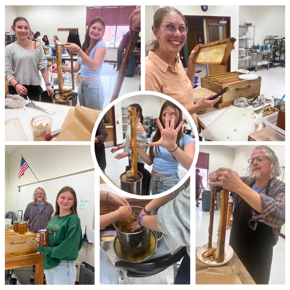 Photo collage showing students and adults harvesting honey in a classroom. Individuals hold honeycomb frames, extract honey, and display jars of honey during a hands-on beekeeping activity.