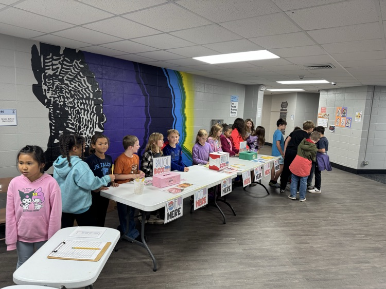 3rd grade polls