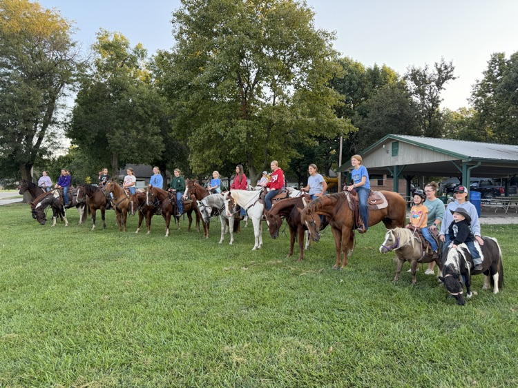 Horses