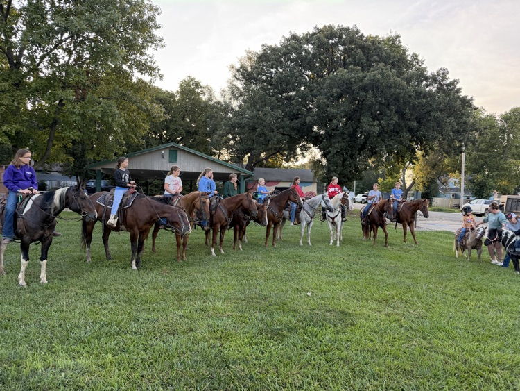 Horses