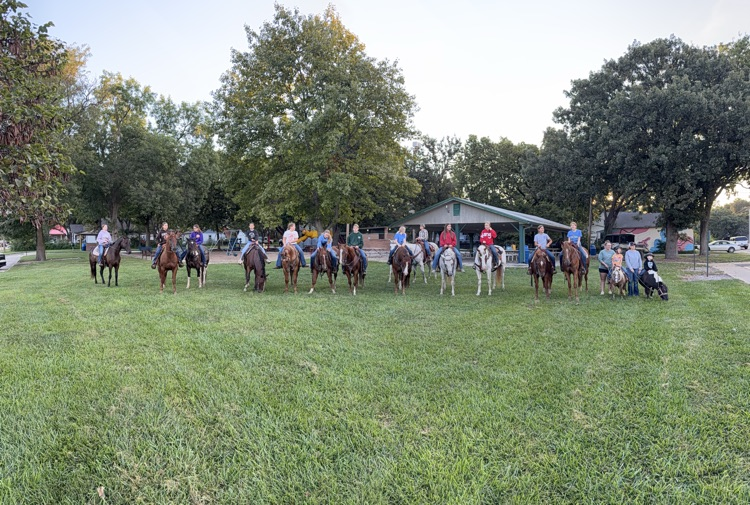 Horses