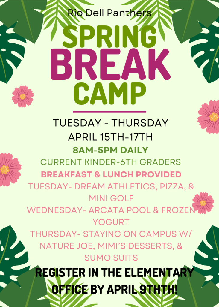 Spring Break Camp