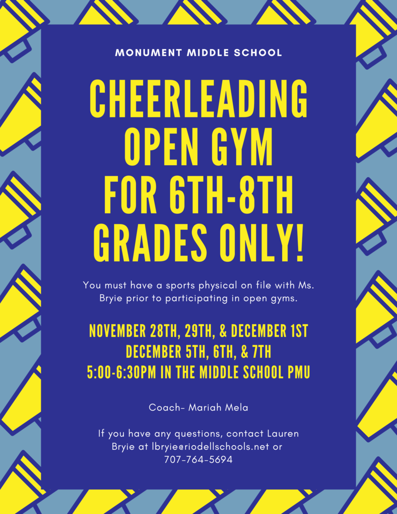 Cheerleading Open Gym Flyer